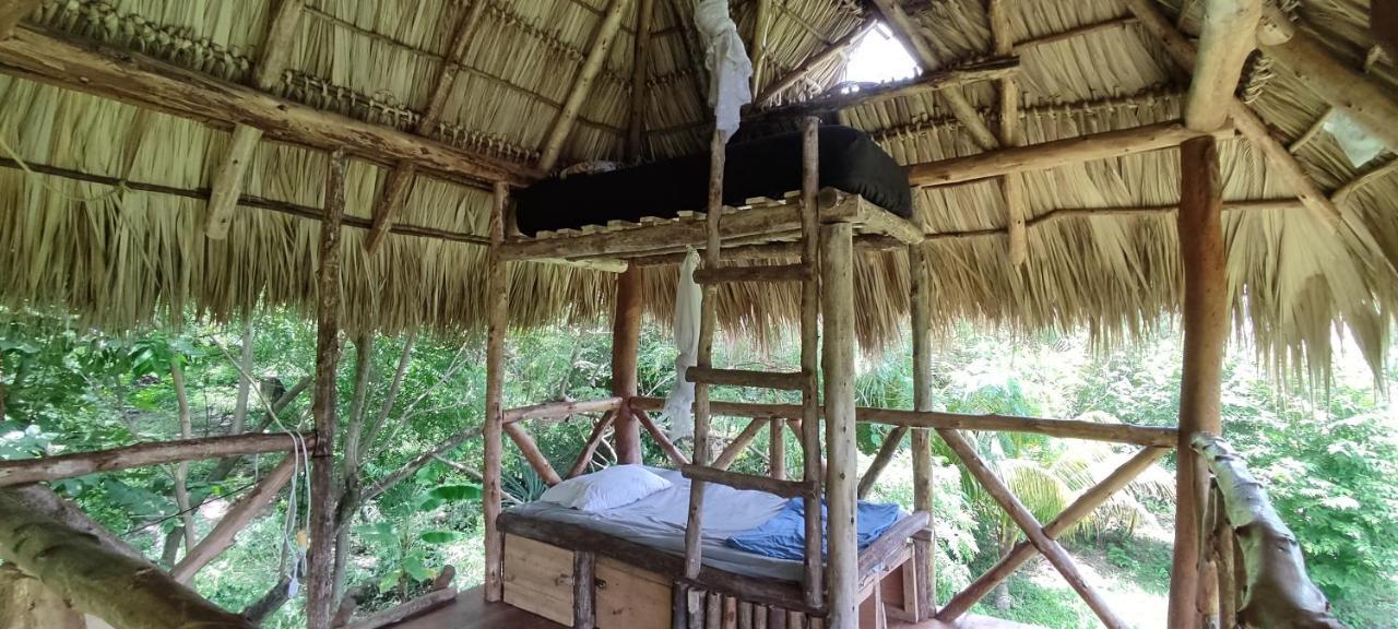 Palapa Hostel Transito Exterior photo