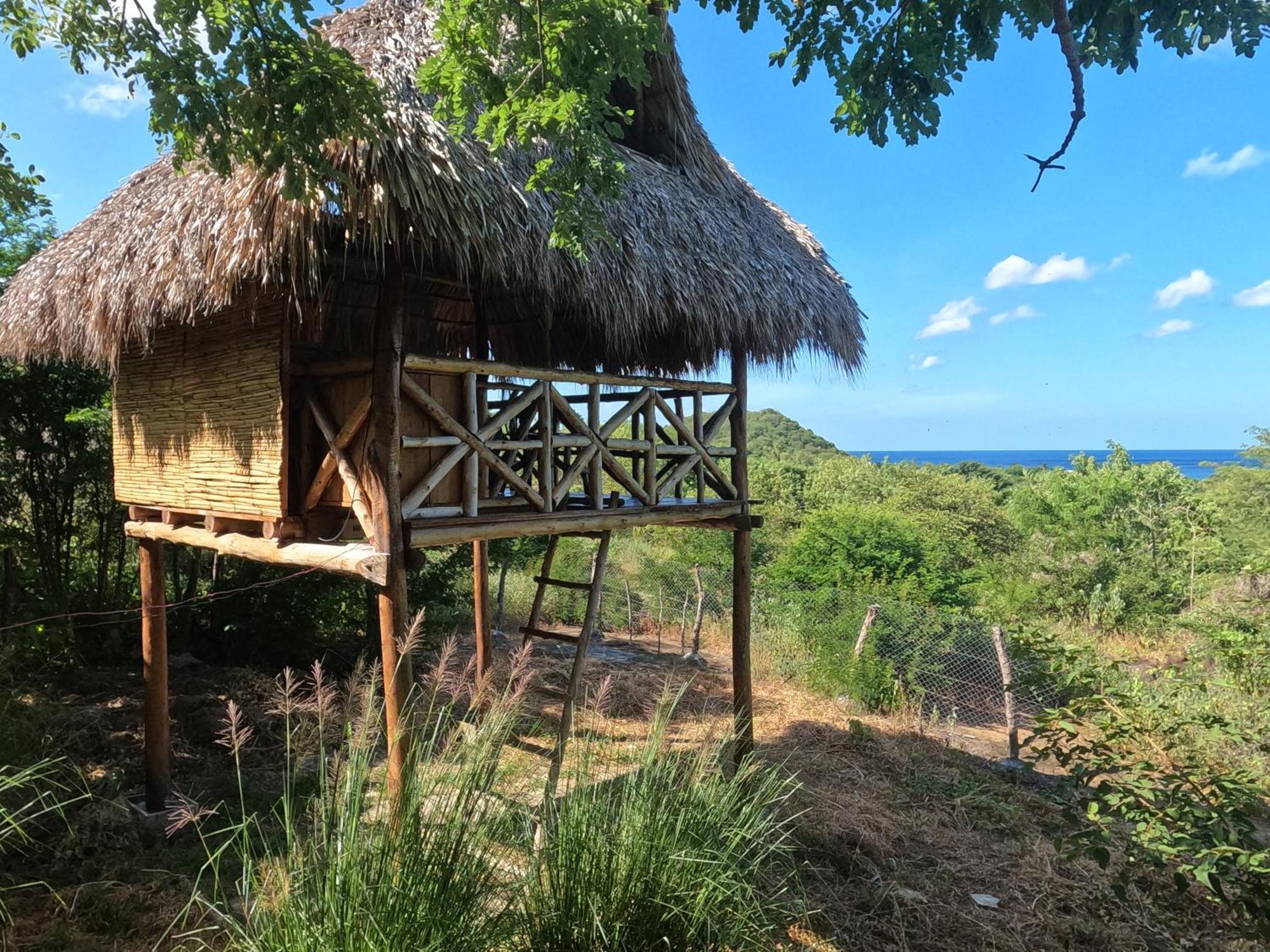 Palapa Hostel Transito Exterior photo
