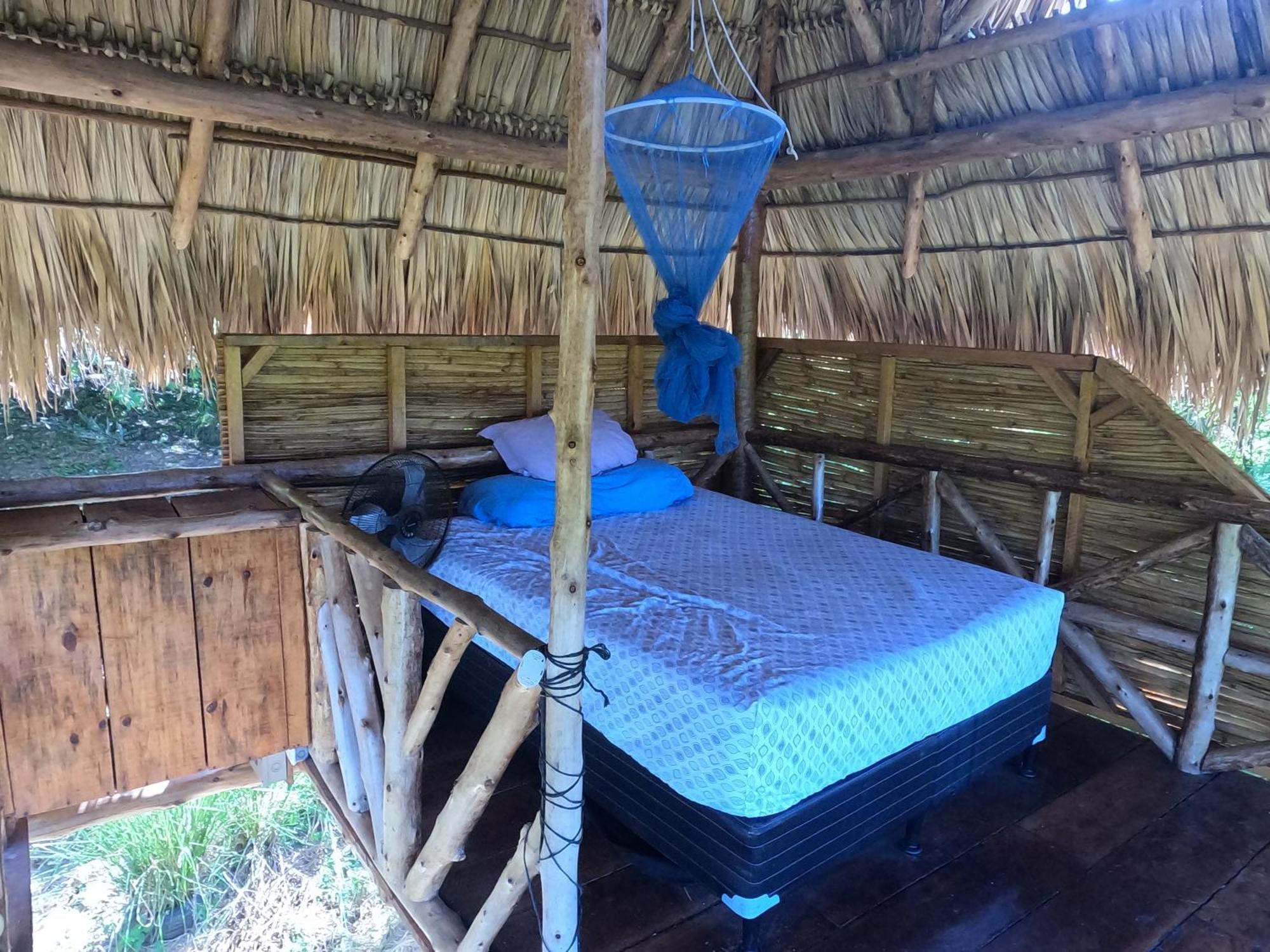 Palapa Hostel Transito Exterior photo