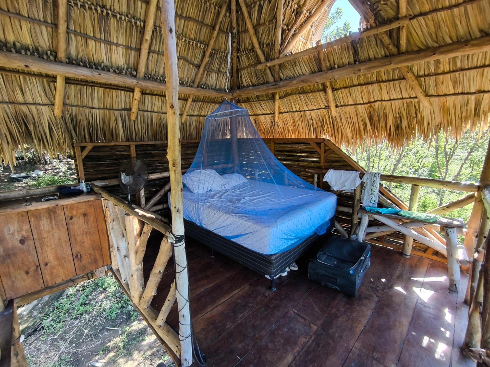 Palapa Hostel Transito Exterior photo