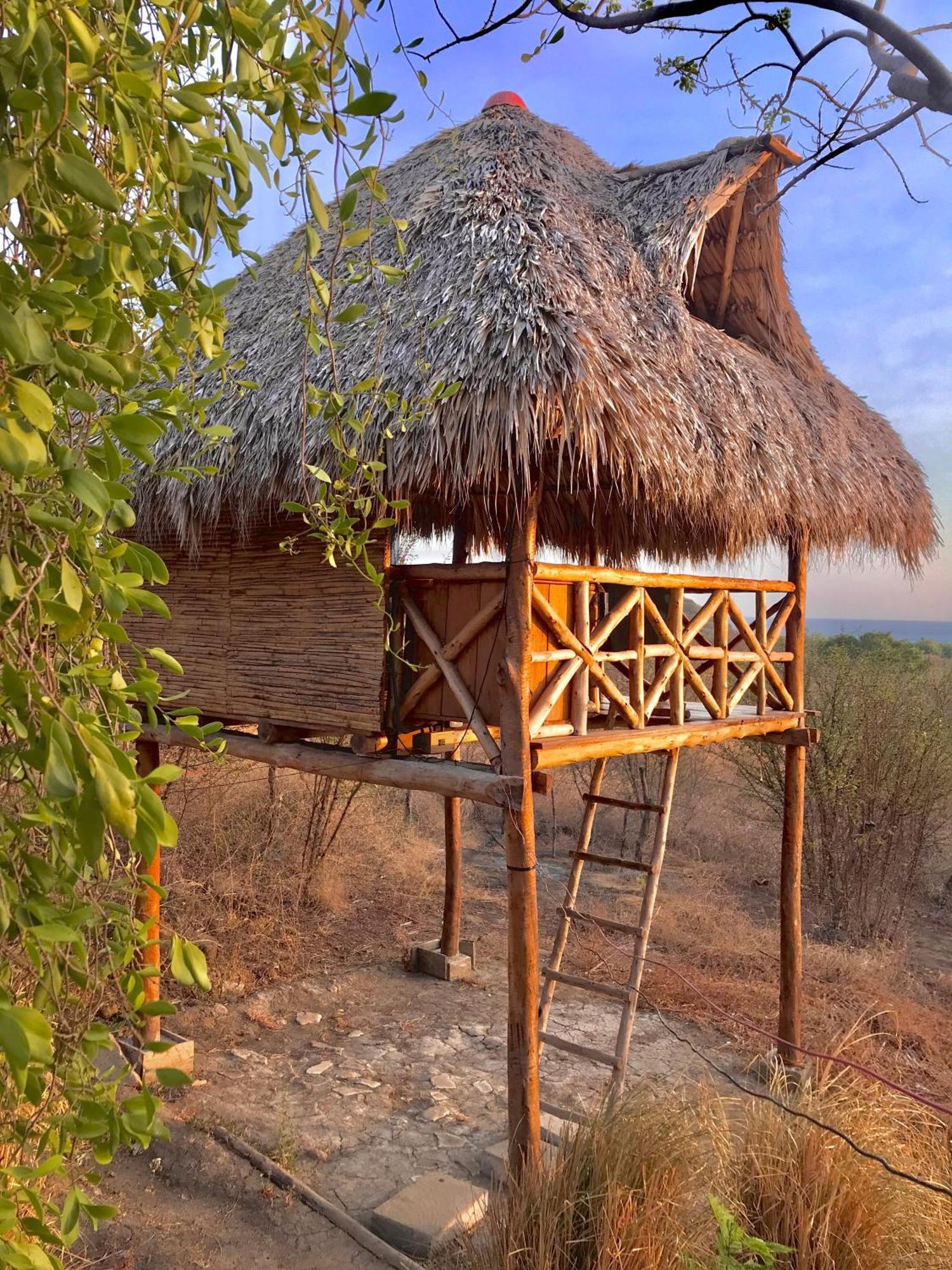 Palapa Hostel Transito Exterior photo