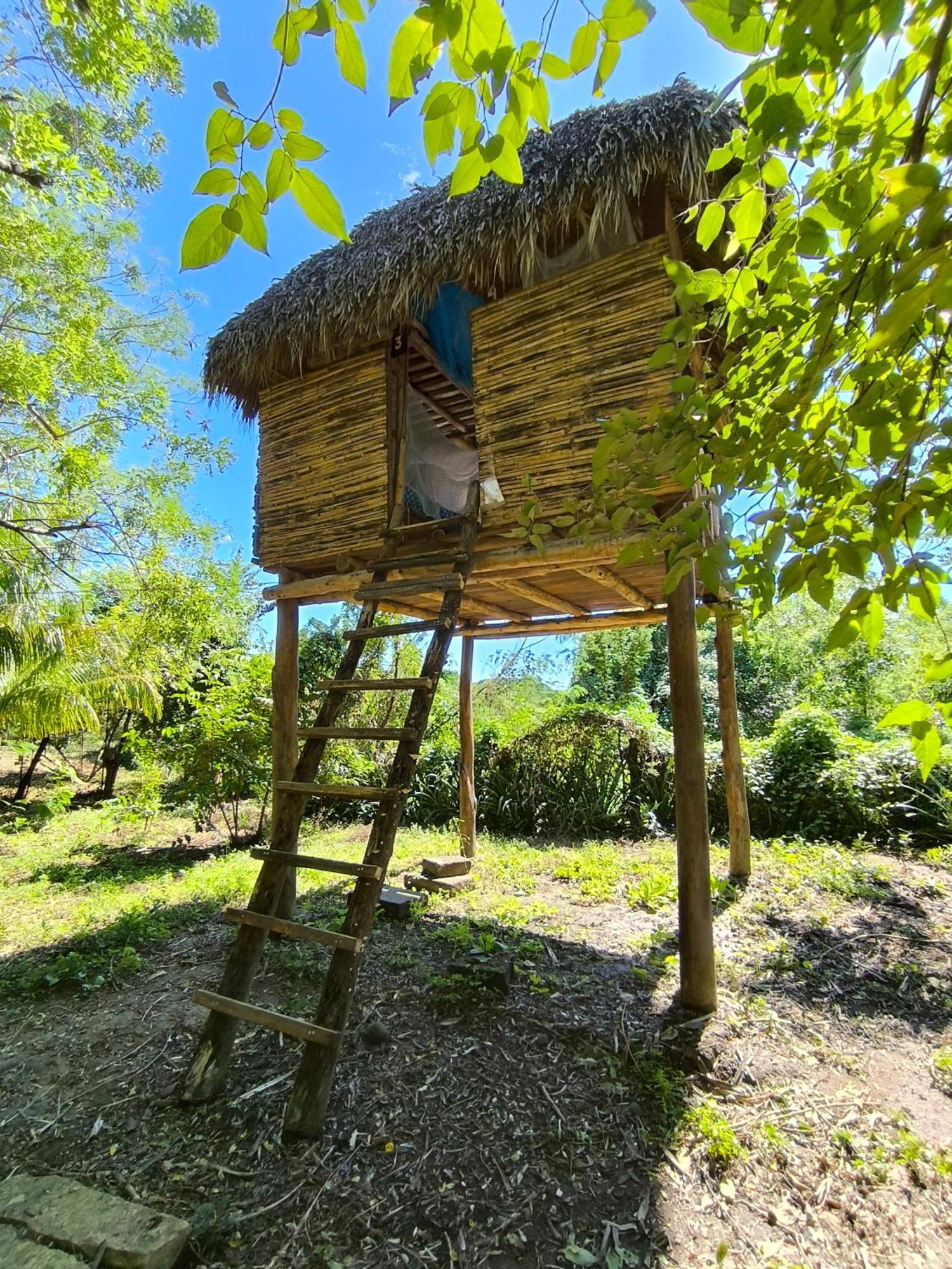 Palapa Hostel Transito Exterior photo